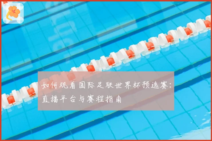 如何观看国际足联世界杯预选赛：直播平台与赛程指南