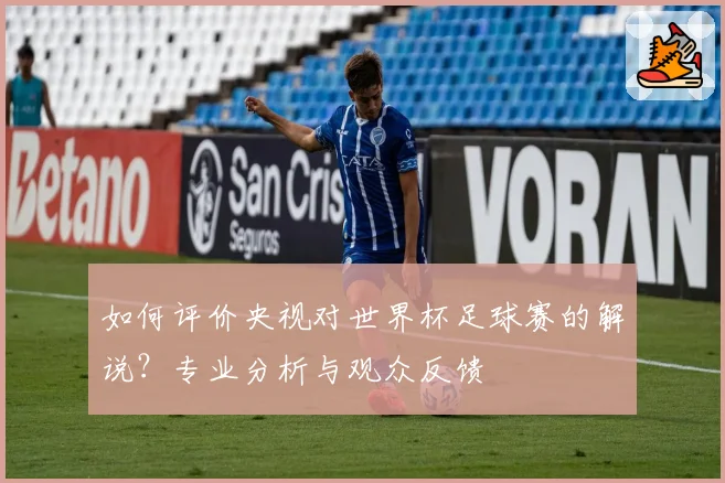 如何评价央视对世界杯足球赛的解说？专业分析与观众反馈