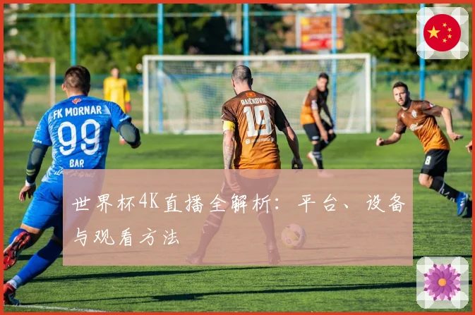 世界杯4K直播全解析：平台、设备与观看方法
