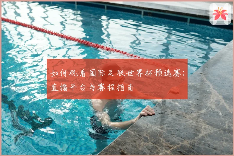 如何观看国际足联世界杯预选赛：直播平台与赛程指南
